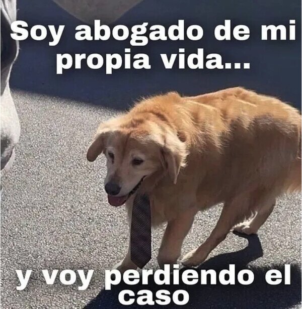 Meme_otros - La vida es un juicio continuo