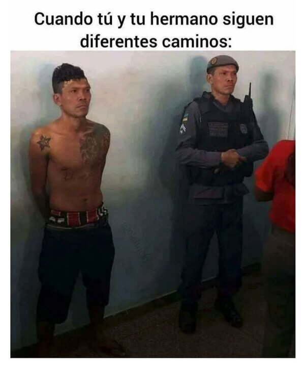 Meme_otros - Creo que mamá tenía un favorito