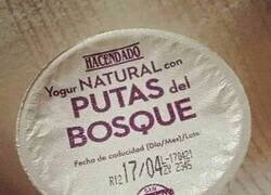 Enlace a Qué raros están los yogures...
