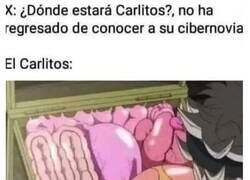 Enlace a Lo vendieron troceado