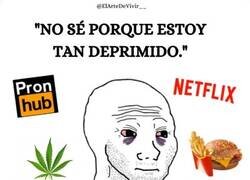 Enlace a Vida rutinaria