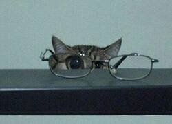 Enlace a El post importante del día