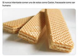 Enlace a De primero de ser humano