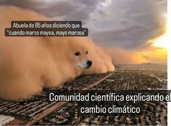 Otros - No hay mejor explicación