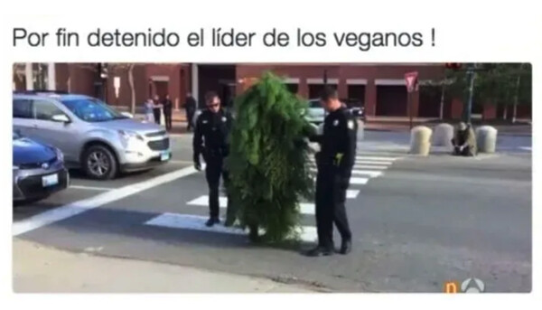 Otros - El cabecilla de esta peligrosa organización ya está en manos de la justicia