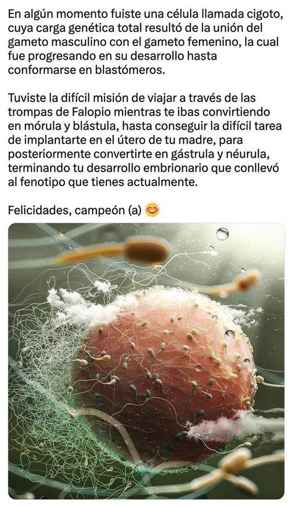 Meme_otros - Para que luego digan que no logré nada en esta vida