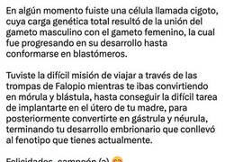 Enlace a Para que luego digan que no logré nada en esta vida