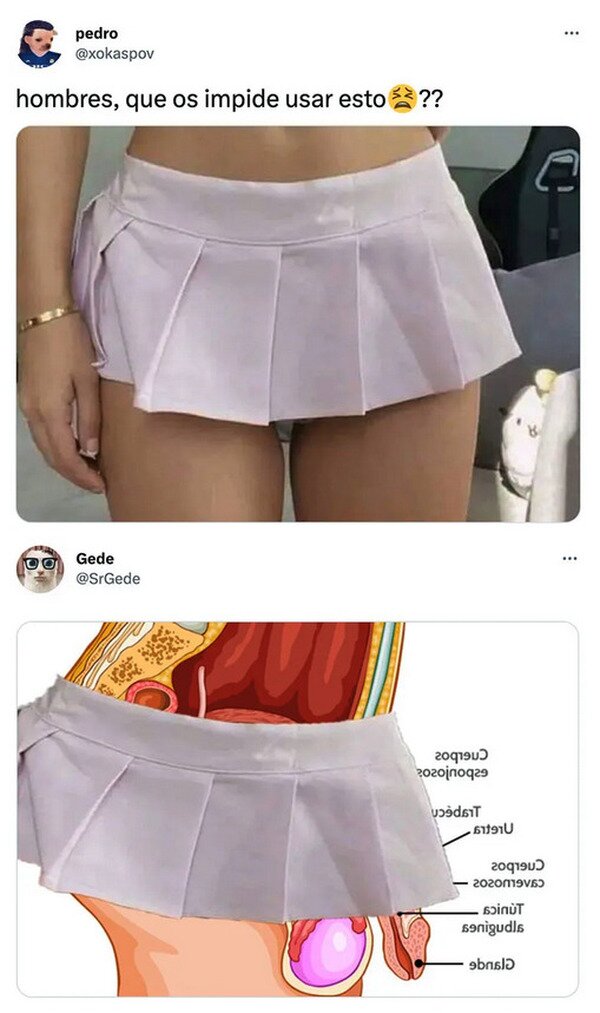Meme_otros - Se me sale todo, Pedro