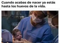 Enlace a Esto no ha hecho más que empezar