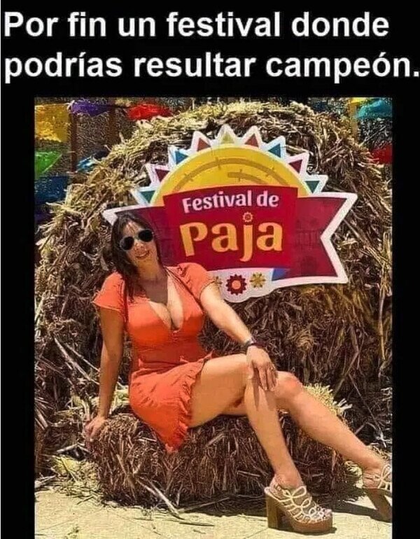 Meme_otros - Un festival hecho para mí