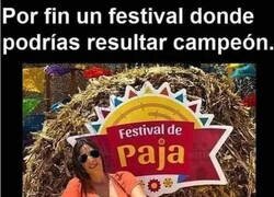 Enlace a Un festival hecho para mí