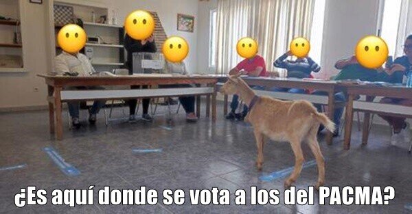 Meme_otros - Cosas que pasan en las elecciones...