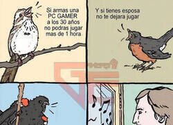 Enlace a Qué bonito el canto de los pájaros