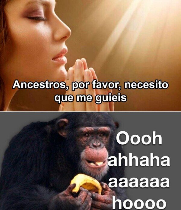 Meme_otros - Los verdaderos ancestros