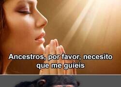 Enlace a Los verdaderos ancestros