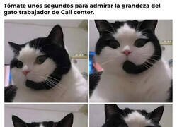 Enlace a Dejaría que me llamara a la hora de comer