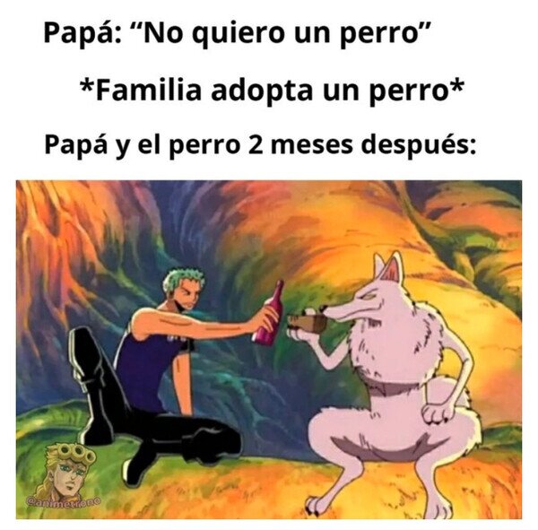 Otros - Acaba siendo el que más se encariña