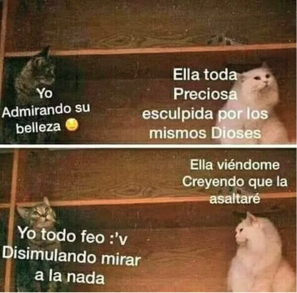 Otros - La inalcanzable y yo