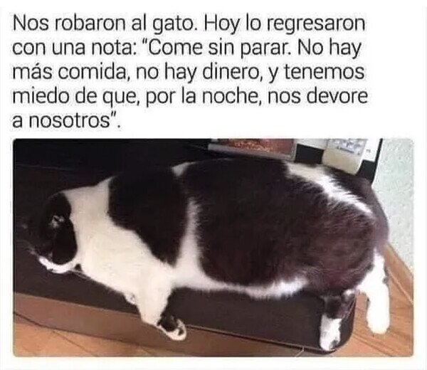 Otros - El gato glotón