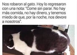 Enlace a El gato glotón