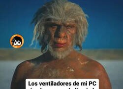 Enlace a Ahí siguen llenos de polvo