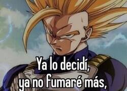 Enlace a ¡Decidido!