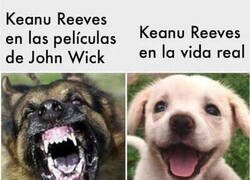 Enlace a En realidad es un amor