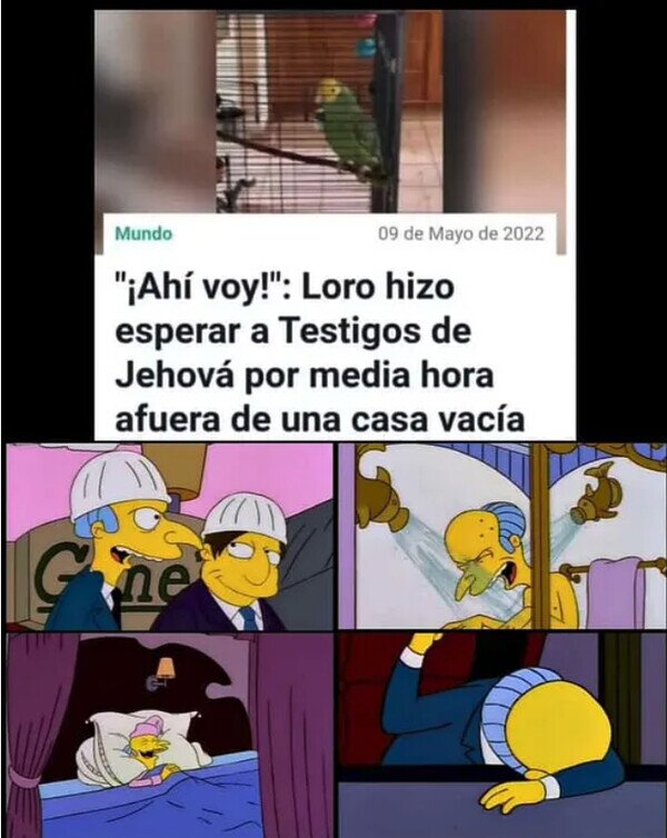 Meme_otros - Te quiero mucho loro mentiroso