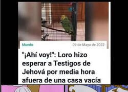 Enlace a Te quiero mucho loro mentiroso