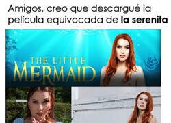 Enlace a Maldita sea...