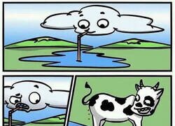 Enlace a No me gusta la lluvia