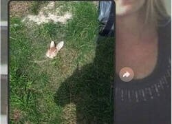 Enlace a Trágico final