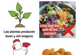 Enlace a Mensaje para los veganos