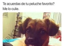 Enlace a Confesiones