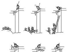 Enlace a Perspectiva