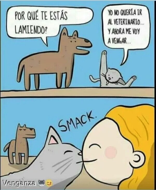 Meme_otros - La venganza gatuna