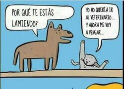 Enlace a La venganza gatuna