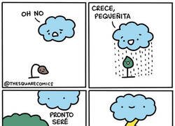 Enlace a No te flipes