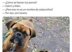 Enlace a Te presento a Calvin y a Klein