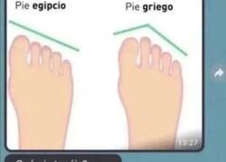 Enlace a Ya conocen las técnicas de Tibu