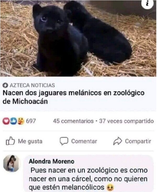 Meme_otros - Creo que no has leído bien...