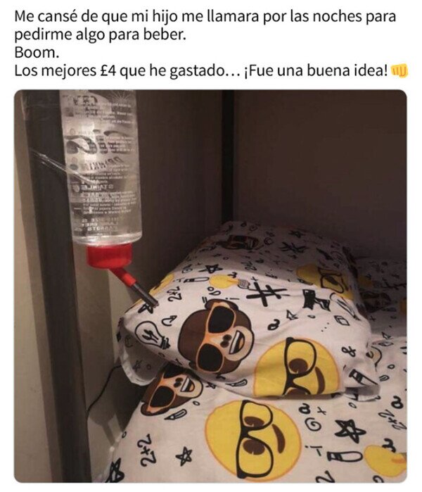 Meme_otros - Cuando no diferencias entre tener un hijo o un hámster