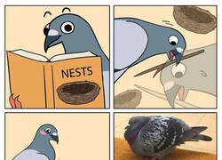 Enlace a Hizo lo que pudo