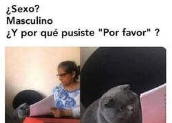 Enlace a En qué estaría pensando...