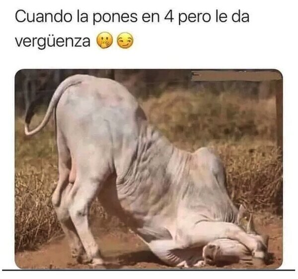 Otros - Ay, no quiero mirar...