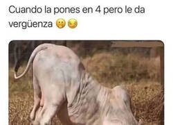 Enlace a Ay, no quiero mirar...