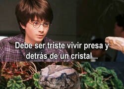 Enlace a ¿Quién de los dos vive preso?