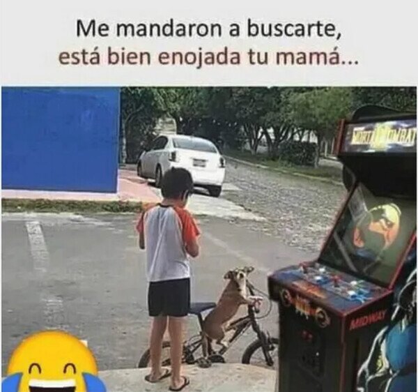 madre,enfado,buscar,niño,bici,perro