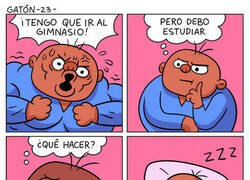 Enlace a Lo que se acaba haciendo