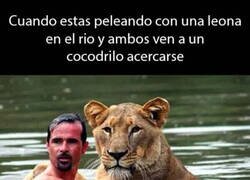 Enlace a Me pasó el otro día